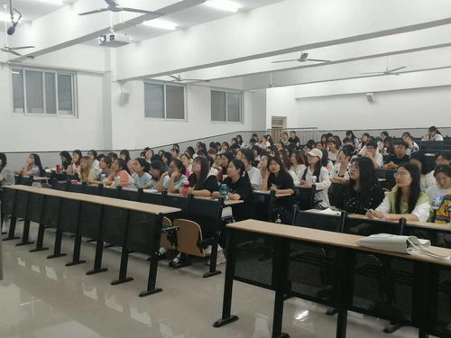 2019級中文專業安全教育會議 北京文化傳媒